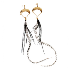 Load image into Gallery viewer, Long Feather Earrings
